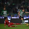 «Mandíbula mortal do tubarão sueco», a crónica do Sporting-Gil Vicente