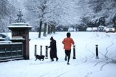Nevão em Liverpool no dia do jogo com o Man. United. Foto: EPA/ADAM VAUGHAN