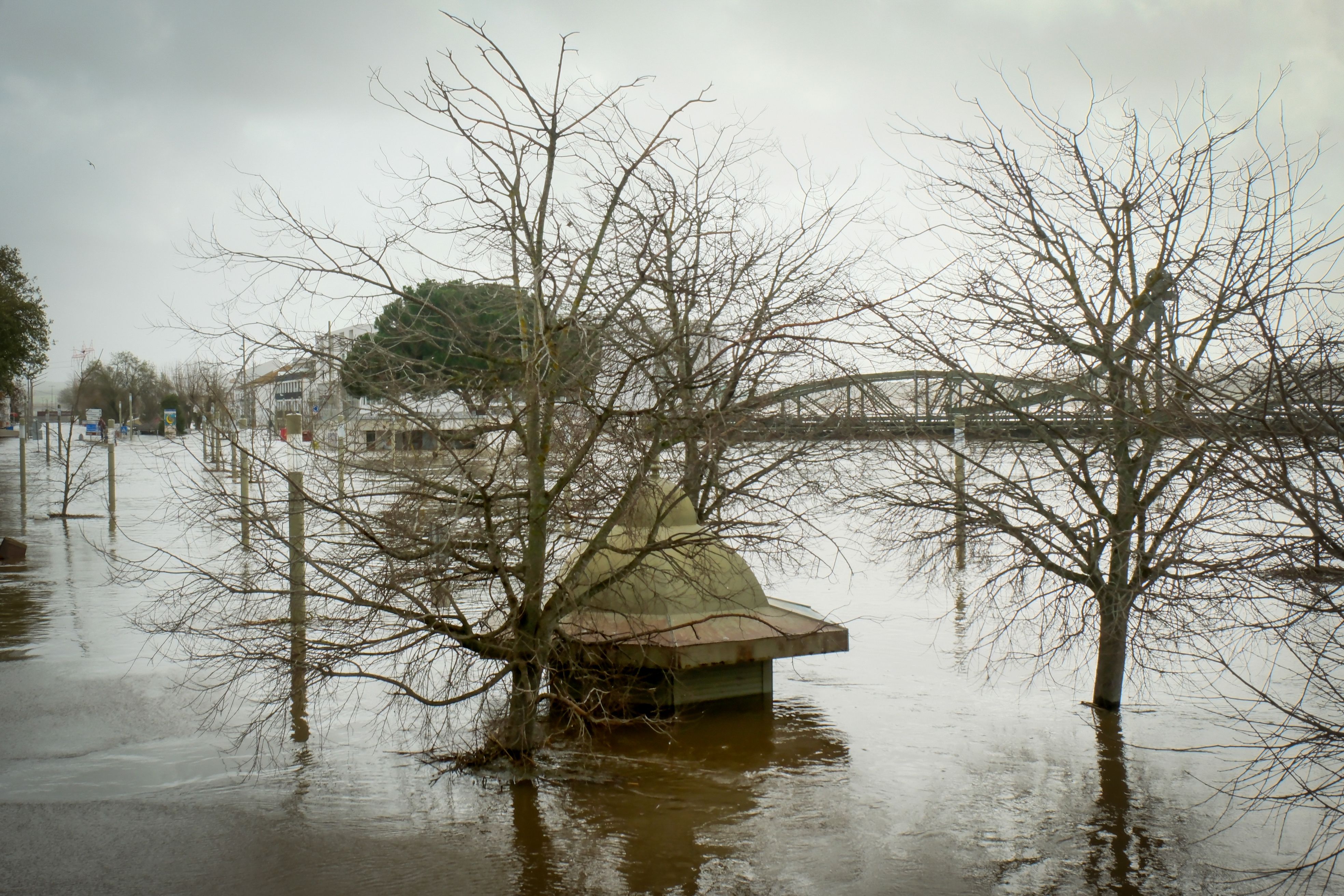Alcácer do Sal ficou debaixo de água devido às cheias provocadas pela subida do caudal do rio Sado - Foto: Rui Minderico/LUSA