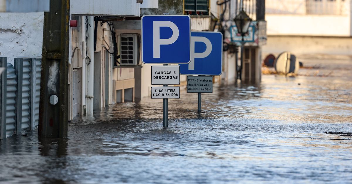 Diques do Mondego em sério risco de colapso