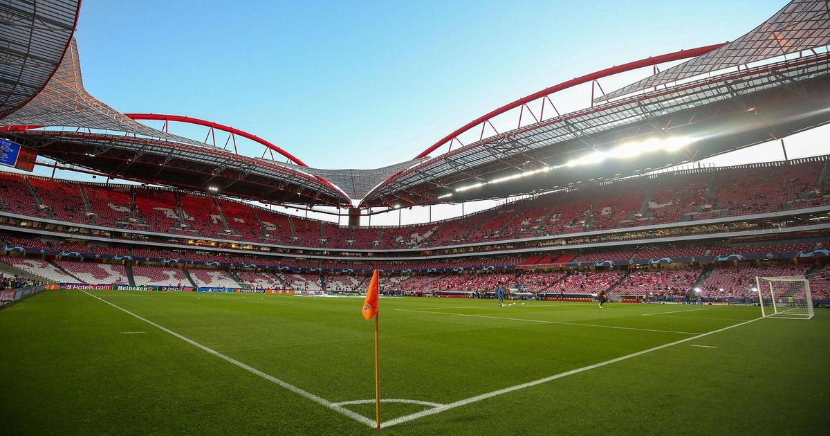 Benfica: funcionários em teletrabalho e data para novo relvado