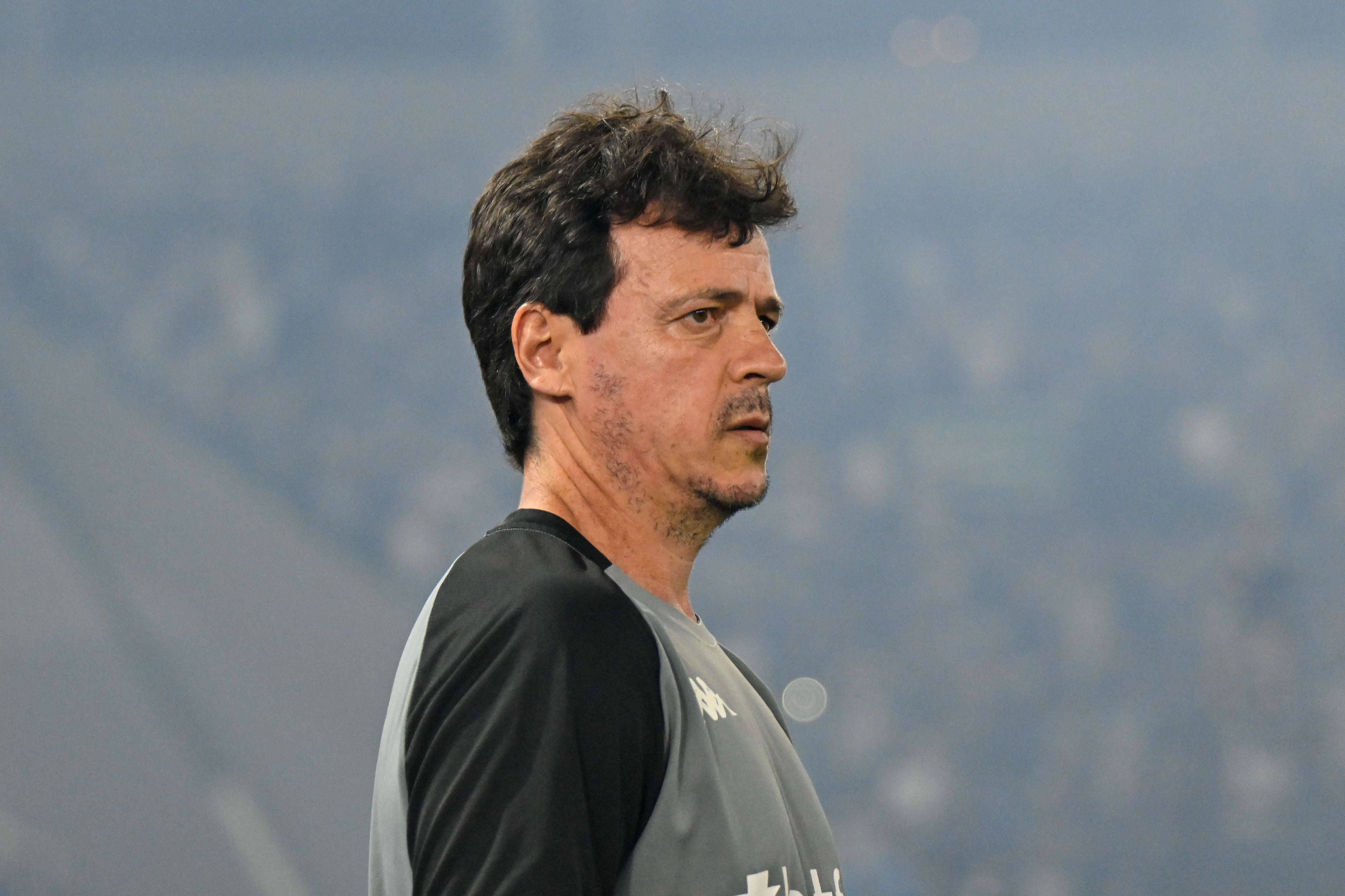 Fernando Diniz esteve 118 dias no Santos