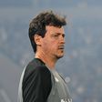 Fernando Diniz esteve 118 dias no Santos