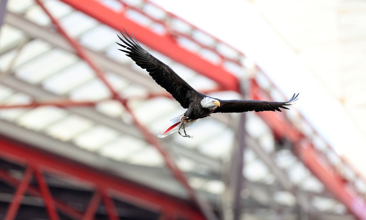 Benfica em campo para comprar ações de Luís Filipe Vieira