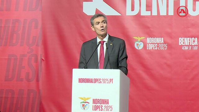 Noronha Lopes critica Rui Costa: «Perdemos troféus, identidade e referências»