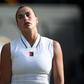Sabalenka: «Só quero ir embebedar-me completamente e esquecer o ténis»