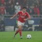 Benfica presta esclarecimento sobre João Neves