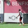 Aursnes e Ivanovic falham treino do Benfica antes do Hearts