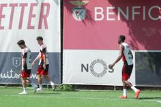 Aursnes e Ivanovic falham treino do Benfica antes do Hearts