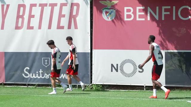 Aursnes e Ivanovic falham treino do Benfica antes do Hearts