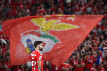 Renovação de Rafa volta à mesa do Benfica