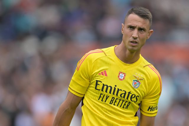 «Vlachodimos acabou o ciclo, Trubin será um dos melhores da Europa»