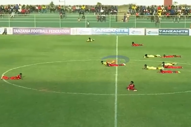 Jogo interrompido na Tanzânia devido a enxame de abelhas. DR