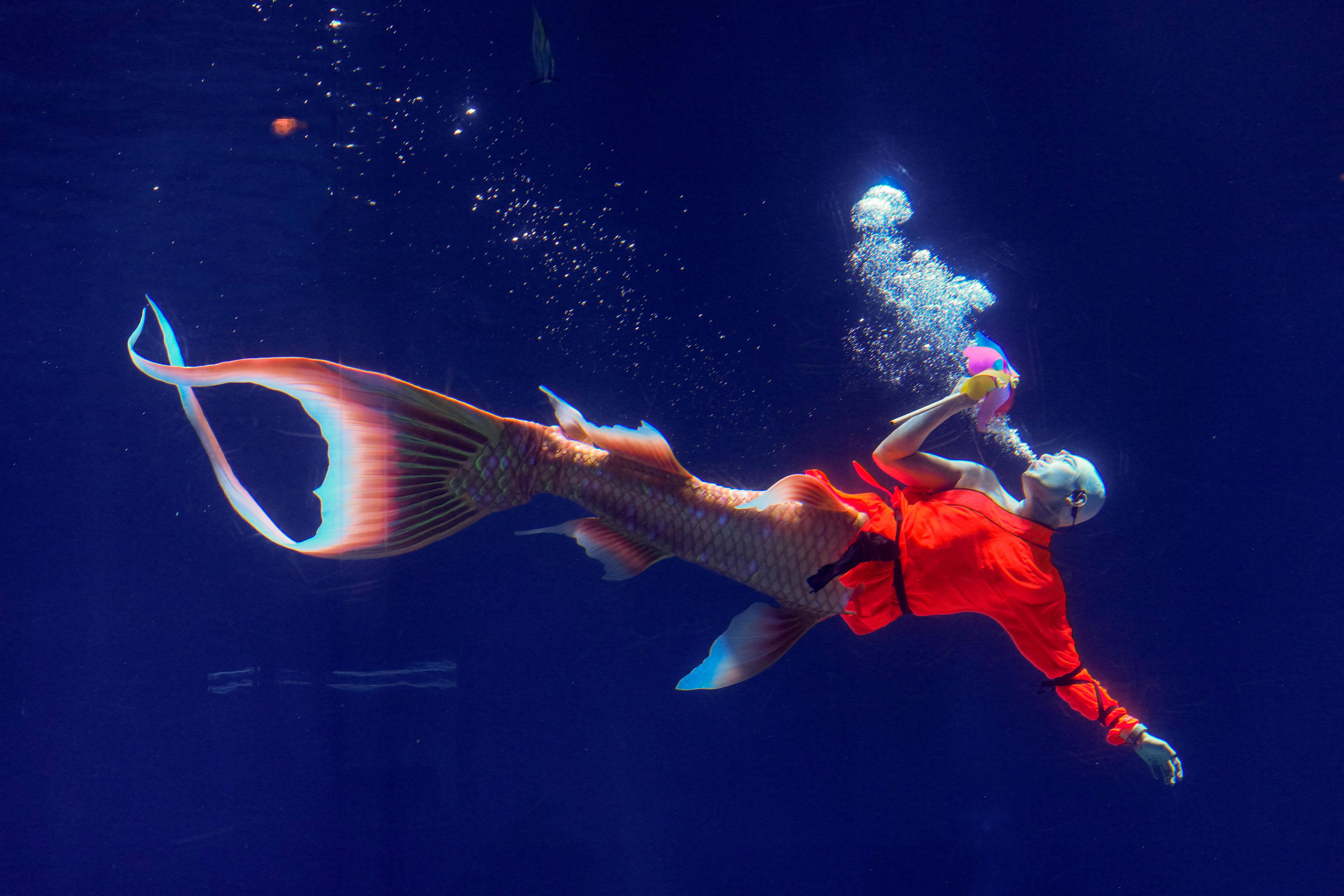 Foto: IMAGO