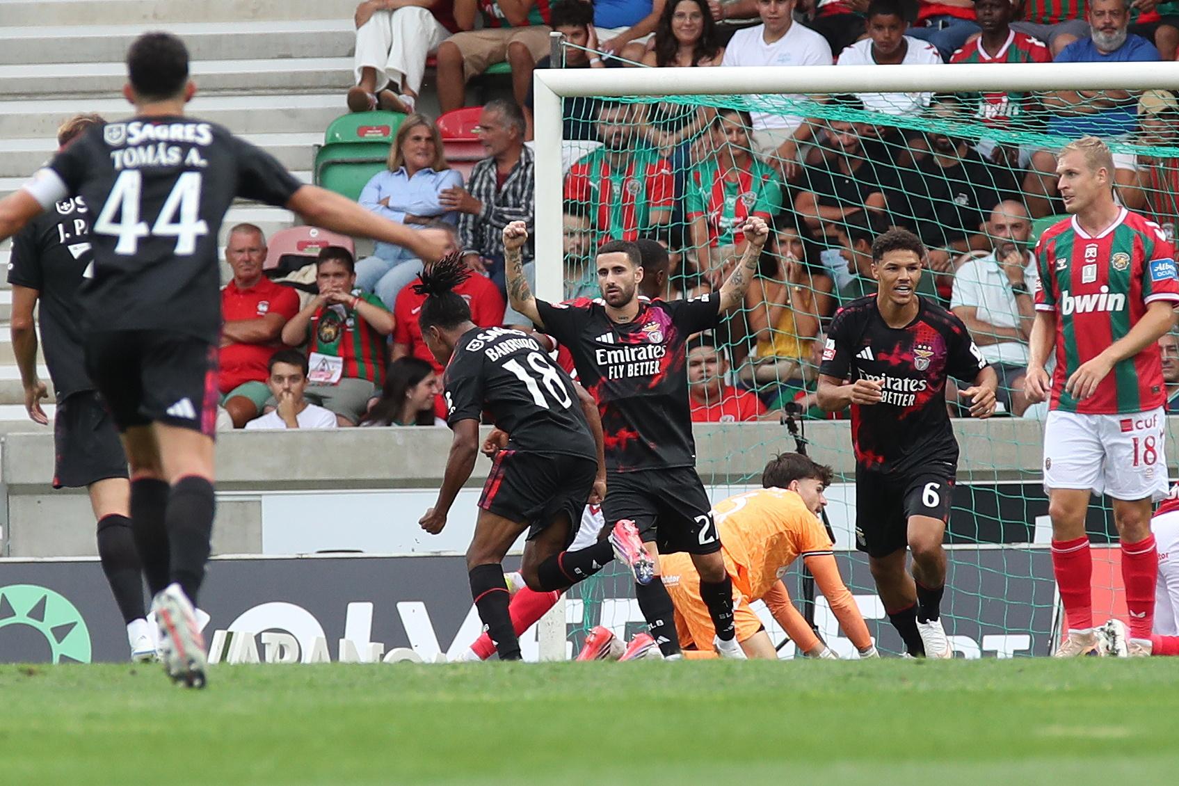 Festejos do Benfica - Fotos: HOMEM DE GOUVEIA/LUSA
