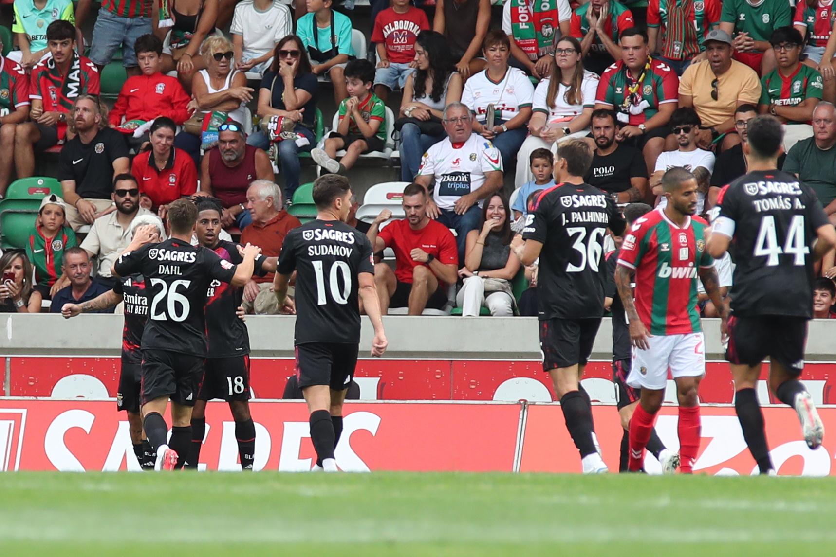 Festejos do Benfica - Fotos: HOMEM DE GOUVEIA/LUSA
