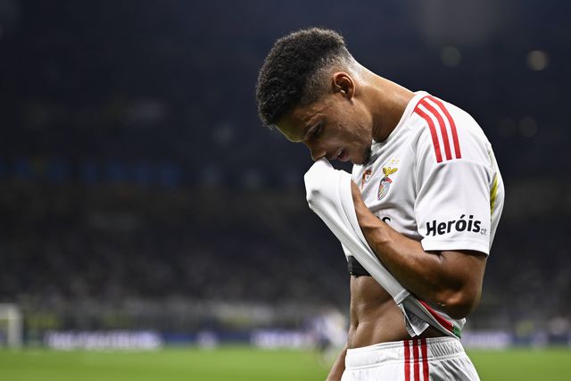 Benfica volta ao mercado