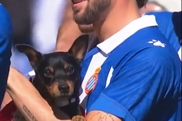 Vídeo: jogadores do Espanhol entram no relvado com cães para promover adoção