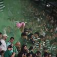 Adeptos do Sporting - Foto: Miguel Nunes