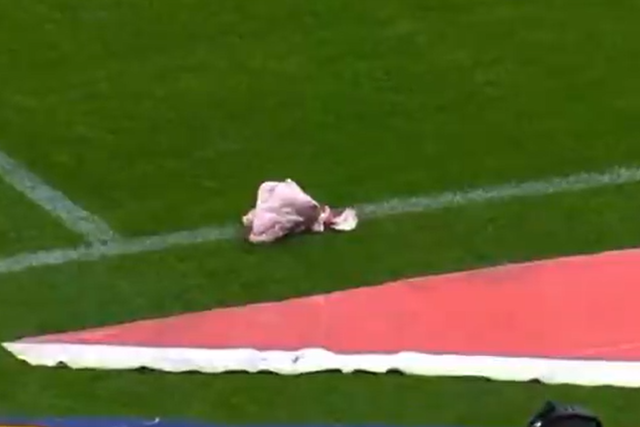 Polícia investiga arremesso de cabeça de porco para o relvado no dérbi paulista