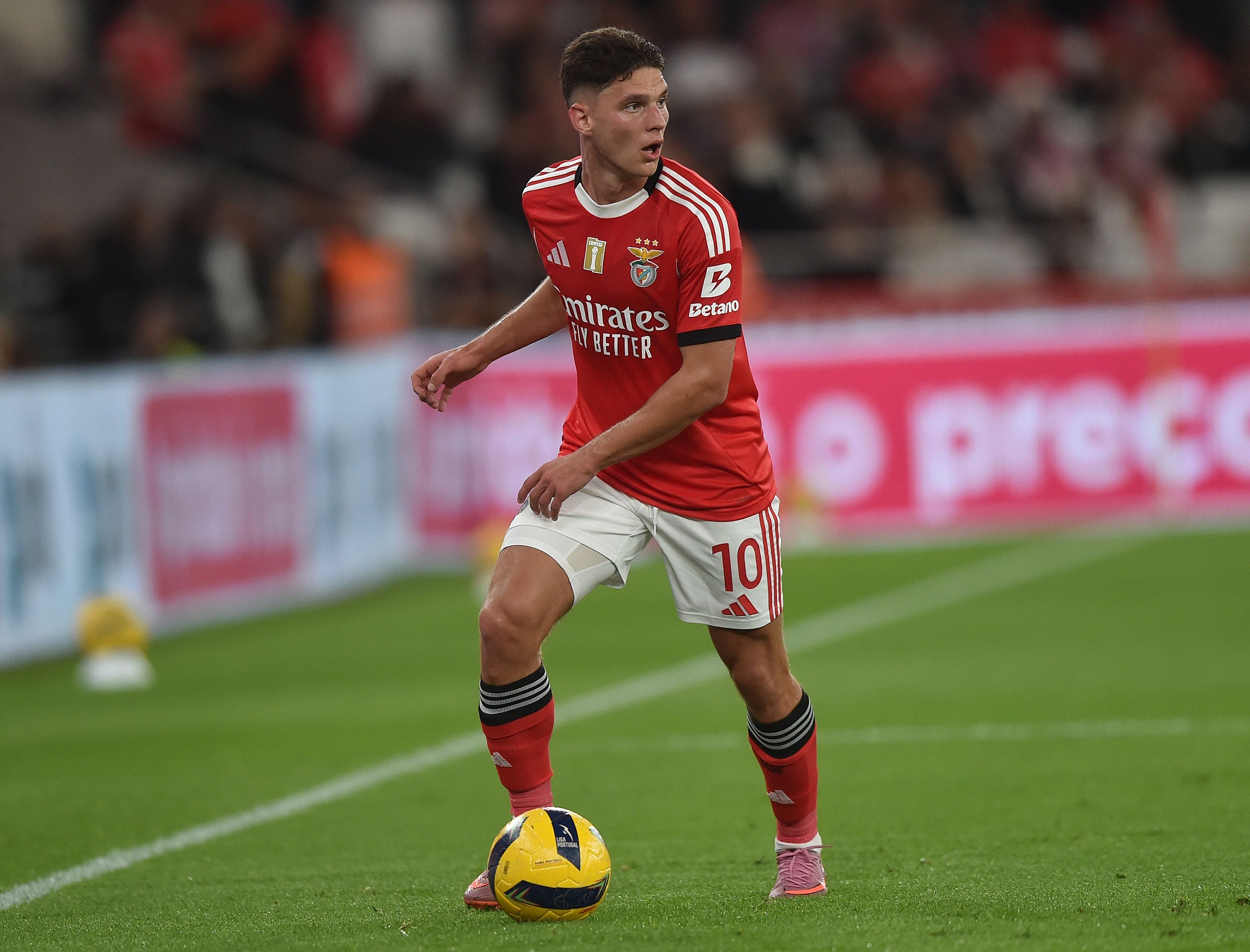 Sudakov - Foto: Miguel Nunes