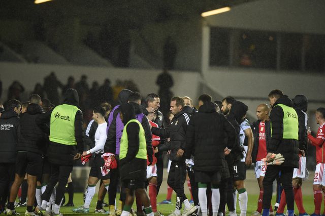 Benfica: Rafa sob a asa de Schmidt