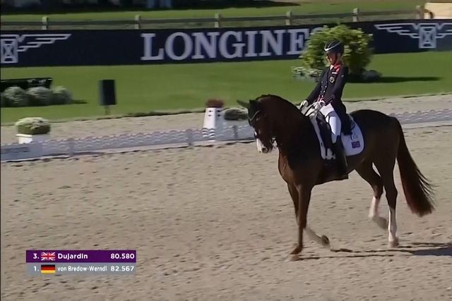 Suspensa por um ano por chicotear cavalo