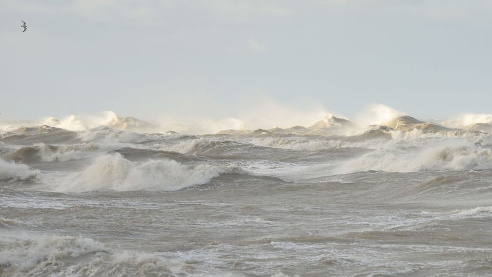 Sismo na Califórnia de alta magnitude leva a alerta de tsunami