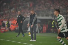 Rui Borges, treinador do Sporting - Foto: Miguel Nunes