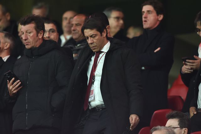 Rui Costa, presidente do Benfica, durante um jogo no Estádio da Luz