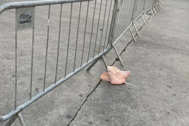 Cabeça de porco deixada  à entrada do estádio do Palmeiras