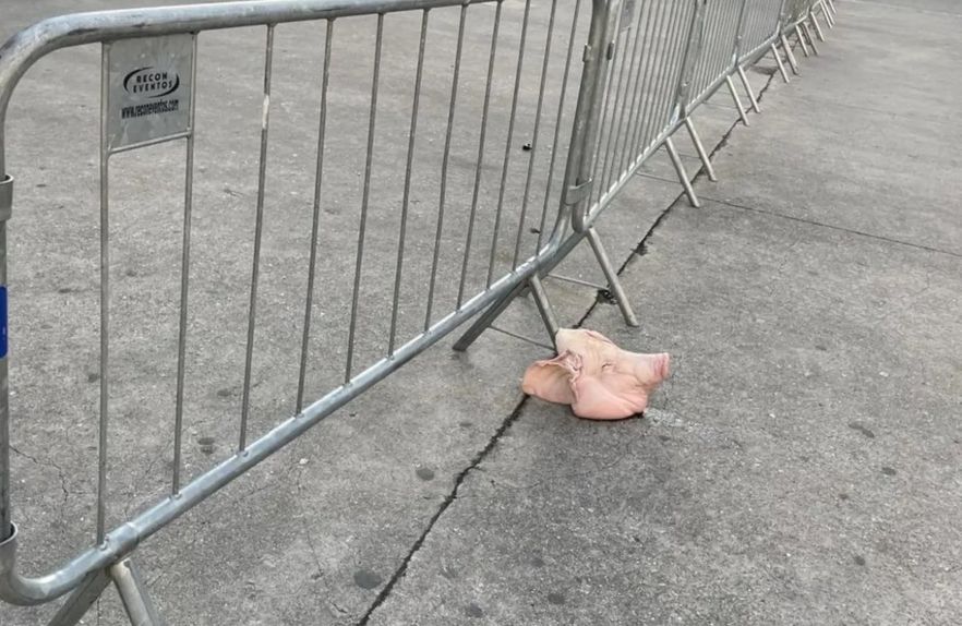 Cabeça de porco deixada  à entrada do estádio do Palmeiras
