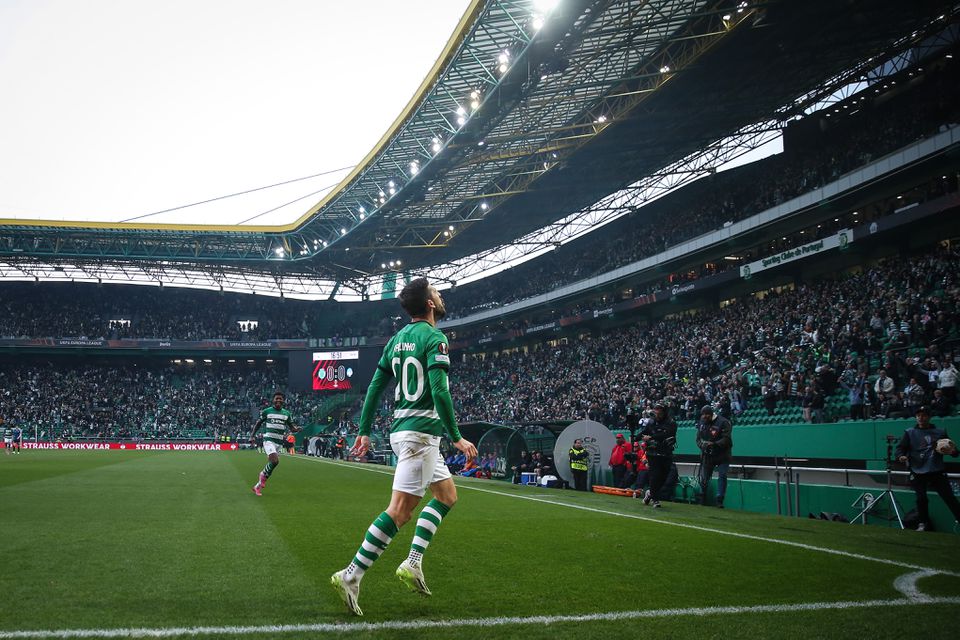 Leão vivo na eliminatória apesar das más sensações: a crónica do empate em Alvalade