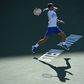 Cinco anos depois, Djokovic regressa a Indian Wells (novamente) em busca de história