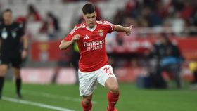 Benfica: italianos vendem Dahl... muito caro
