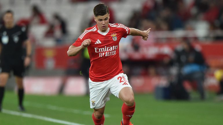 Benfica: italianos vendem Dahl... muito caro