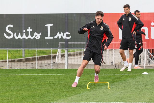 Sudakov — Foto SL Benfica