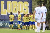 Lobos de Arouca derrotaram o Estoril por 3-2 e chegam aos 32 pontos - JOSÉ COELHO/LUSA
