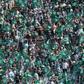 Sportinguista promete grande apoio no Jamor - Foto: MIGUEL NUNES