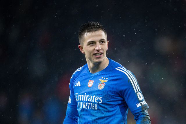 Benfica: ucranianos colocam Trubin na lista do City