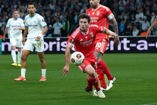 Benfica: águias agarram João Neves