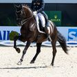 Equestre: João Pedro Moreira 9.º no 'freestyle' em Aachen