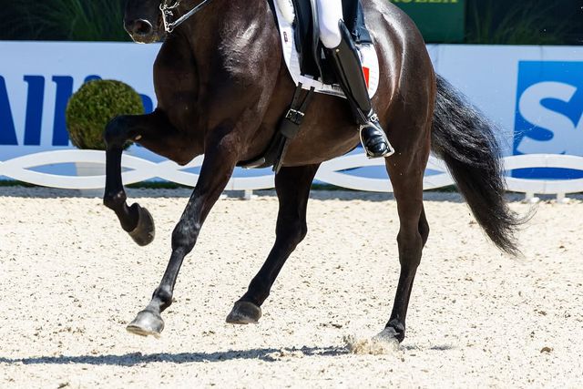 Equestre: João Pedro Moreira 9.º no 'freestyle' em Aachen