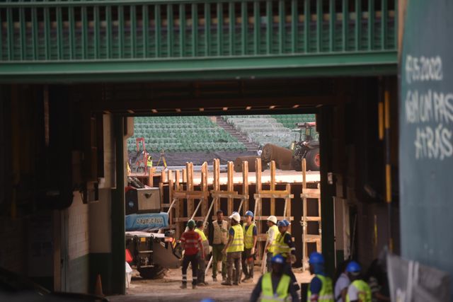 Sporting: relvado já está a ser colocado (fotos)