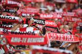 Adeptos do Benfica no Estádio da Luz - Foto: Miguel Nunes