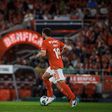 «Kokçu vai melhorar muito no Benfica»