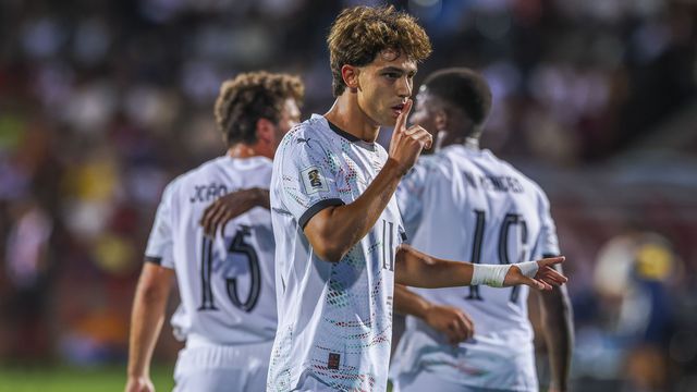 «Neste momento, João Félix é um peixe dentro de água»