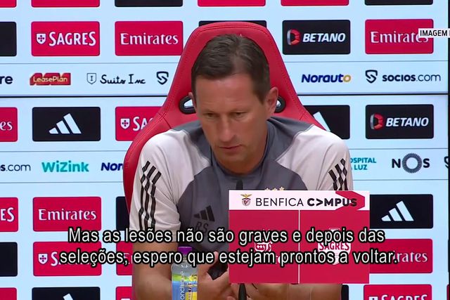 Schmidt fala de João Neves, João Victor e das ausências