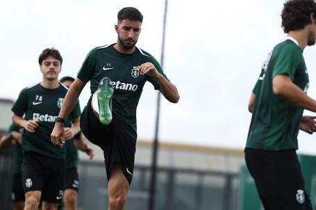 Gonçalo Inácio já voltou a treinar de leão ao peito - Foto: Sporting CP