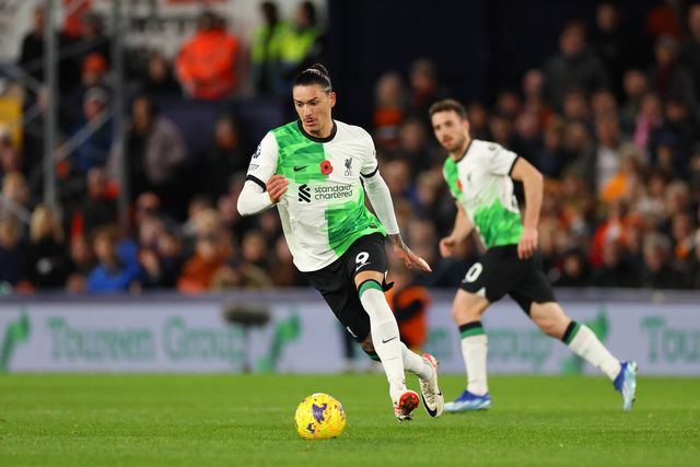 «Darwin ainda tem de passar por um processo de crescimento»